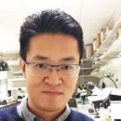 Weida Zhao